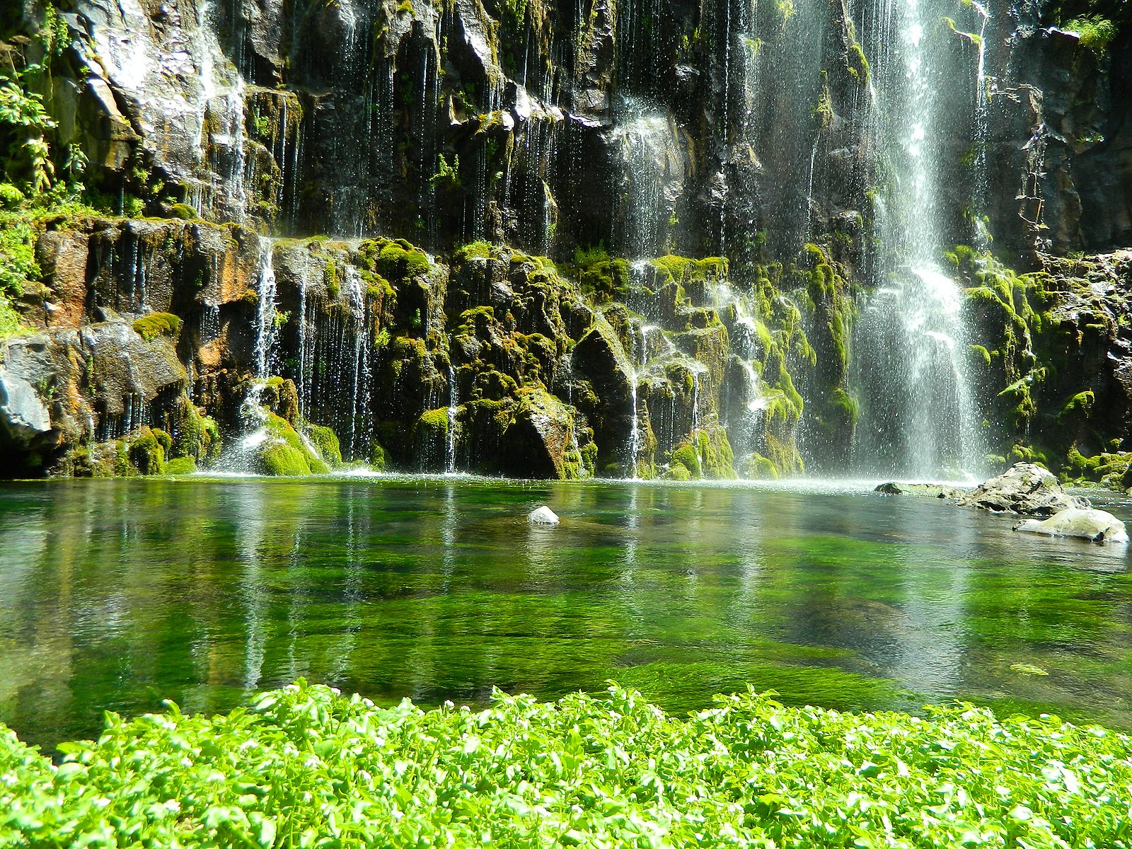 Borjomi